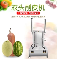 Persimmon, ananas, appel, drakenvrucht, mandarijn schiller, ontpitter en schilmachine