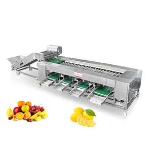 Automatic Citrus Fruit Sort Machine Pepper Grading Machine Mango Fruit Grading and Sorting Machine Price