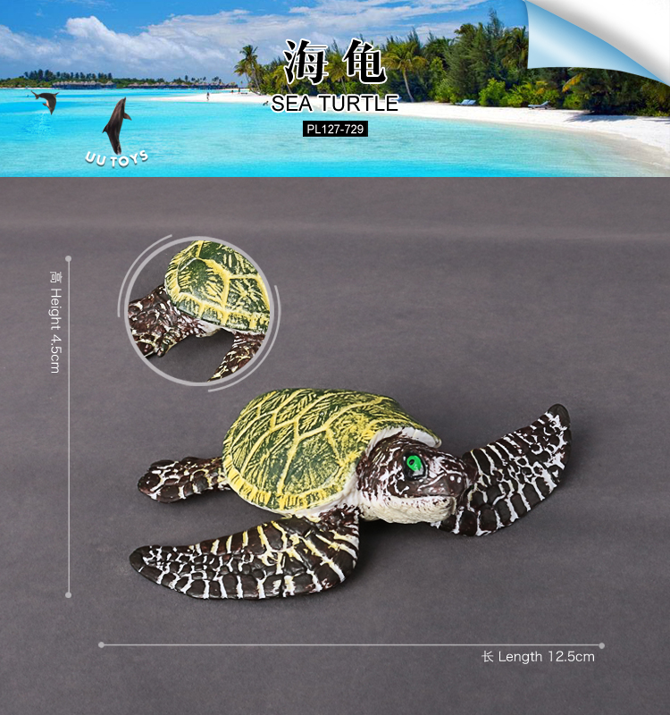 729 Tortue de mer