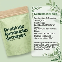 Gummies de Kombucha Antioxydant Personnalisables OEM/ODM, à l'Orme Rouge et Racine de Pissenlit – Complément Herbal Végétalien, 60 Gummies, Soutien Immunitaire