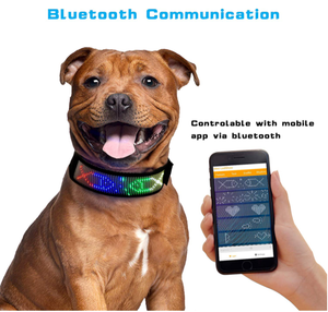 USB şarj edilebilir Led lamba Pet yaka moda Led ışık up emniyet halkası App programlanabilir kaydırma ekran mesaj Led köpek tasması - Product Image 3