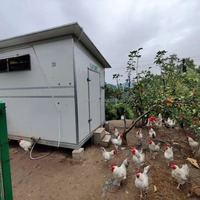 Ferme pondeuse pour volailles Conteneur en acier Poulailler mobile extérieur