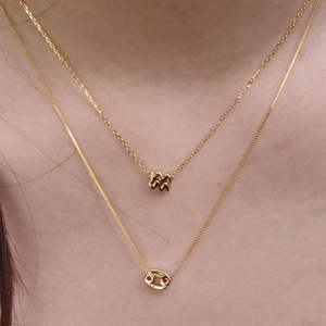 Chris April Moda en stock 925 Plata de Ley 18K Chapado en oro Mujer Zodiaco <span class=keywords><strong>Horóscopo</strong></span> Signo Colgante Collar - Product Image 5