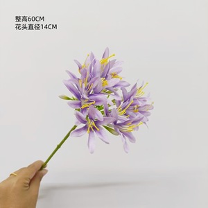 Nueva llegada delicado artificial Agapanthus <span class=keywords><strong>Africanus</strong></span> seda lirio africano hecho a mano flores realistas para la decoración de la boda - Product Image 5