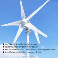 Générateurs éoliens horizontaux 1000W 1200W 1500W 1800W 12V 24V avec générateur à aimants permanents, système d'énergie éolienne pour utilisation agricole