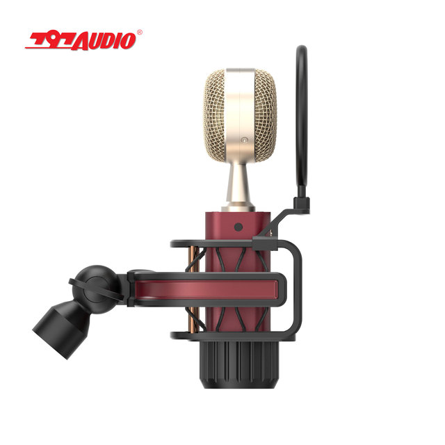 797Audio D501 USB Desktop Condenser Microphone Black with Type C Connector Shockmount and Pop Filter-for Conferences