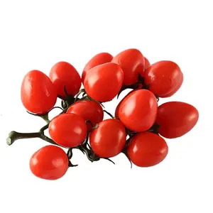 Đạo Cụ Chụp Ảnh Trang Chủ Cửa Sổ Hiển Thị Trang Trí Mô Hình Bọt PU Virgin Fruit Nhựa Cherry Tomato Trái Cây Con Gái Nhân Tạo