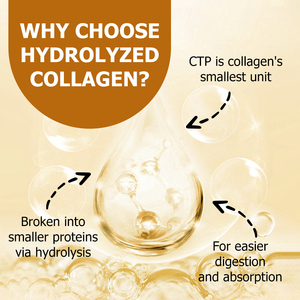 Cápsulas de Colágeno Saludables al por Mayor OEM con Complejo Multicolágeno, Favorecen la Salud de los Huesos y Promueven una Digestión Saludable - Product Image 4