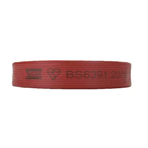 2 Inch Double Layer BS6391 Certified Attack Fire Hose Customized Fire Fighting Equipment