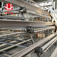 Système d'alimentation automatique pour poussins en cage de couvaison de type A pour projet agricole, équipement avicole commercial pour poulaillers – Fournisseur