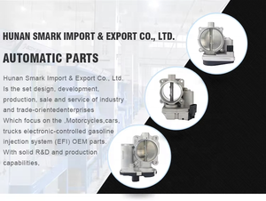 Cuerpo de Aceleración de Alto Rendimiento para Autos Coreanos 351002B220 0280750630 0 280 750 630 35100-2B220 Válvulas de Aceleración - Product Image 6