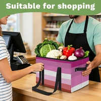 Panier de courses pliable personnalisé, thème Fierté LGBT Arc-en-ciel, pour collection de souvenirs et courses domestiques