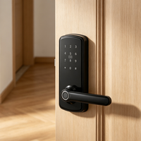 Hot Item Digital Smart Lock 6070 Standard Lock Body HR Security Lock Multi Options for Villa Hospitality