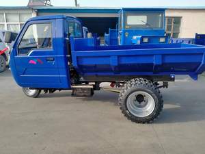 Triciclo Diesel per Lavori Pesanti - Veicolo per il Trasporto di Sabbia e Terreno per Progetti di Ingegneria - Product Image 6