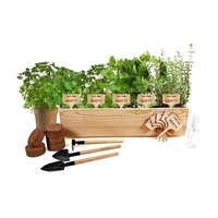 Pot de fleurs rectangulaire naturel décoratif d'intérieur personnalisé boîte cadeau de cube de plante pot en bois kit de culture de fleurs avec étiquette en bois