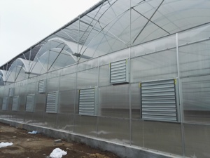 Hot Galvanized Steel Multi-Span PE Film Greenhouse with Hydroponic Drip Irrigation System for Strawberry Flowers Vegetables