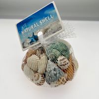 Décoration d'aquarium en coquillages naturels mignons, étoiles de mer, artisanat DIY, souvenir de maternelle, fabriqué en Chine