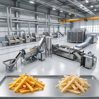 Ligne de production de frites 1200 kg/h, capacité industrielle pour usine de transformation de pommes de terre à grande échelle, production de frites surgelées