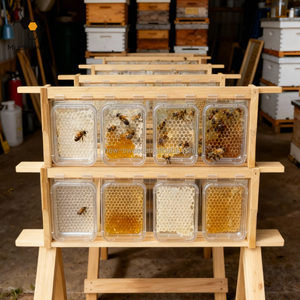 กล่องพลาสติกใสหวีสำหรับน้ำผึ้งโครงรังผึ้งเกรดอาหาร - Product Image 1