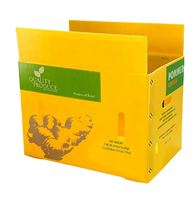 Conteneur en plastique ondulé PP pliable robuste avec cloison en carton alvéolaire et velcro pour le stockage et le transport