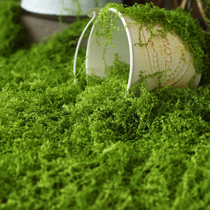 Musgo Verde Artificial al por Mayor para Decoración del Hogar, Oficina, Jardín, Fotografía, Plantas en Maceta, Pavimentación y Paisajismo - Product Image 6