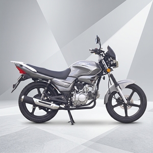Motocicleta Deportiva de Calle de Alto Rendimiento de 125cc, Motor sin Escobillas, Tecnología de Motor Avanzada CDI, Bajo Costo de Mantenimiento, Velocidad Máxima >80km/h - Product Image 2