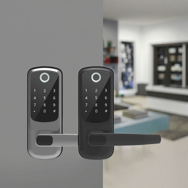Kasman SOURCE PRICE American Style Door Lock Security Waterproof Fingerprint Tuya Ttlock Wifi Smart Locks