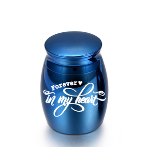 Urnes funéraires en acier inoxydable pour animaux de compagnie ou cendres humaines Réservoir de stockage de cheveux Urne funéraire pour chat et chien-Forever In My Heart - Product Image 6