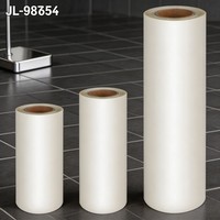 Rouleau de film PET DTF ColorPro 30cm 60cmx100m 75u, papier transfert instantané double face pour imprimante DTF