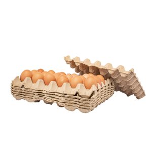 Bandeja de huevos de pollo Buena calidad Célula personalizada Servicio personalizado Certificación Tuv Embalaje personalizado del fabricante de Vietnam - Product Image 3