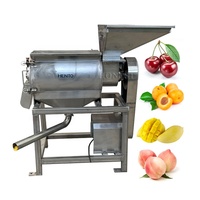Elektrische fruitpulpmachine / Mango pulpmachine / Abrikoospulpmachine