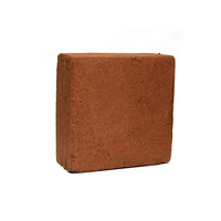 Vente en gros d'usine Bloc de tourbe de coco biologique de haute qualité 650g 1kg 5kg Brique anti-poussière 100% noix de coco biologique pour jardin à bas prix