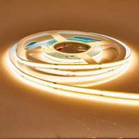 Lampu Strip LED Tembaga COB 24V RGB 840D 8MM dengan Remote Control & USB untuk Taman