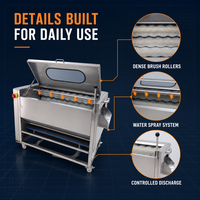 Machine à éplucher commerciale en acier inoxydable avec brosses à rouleaux en nylon durables pour pommes de terre, carottes, radis