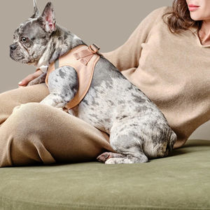 Harness Anjing Mewah Ringan Berbahan Nilon dengan Logo Custom, Bernapas, Reflektif, Empuk, Model Vest, Anti Tarik, Perlengkapan Hewan Peliharaan - Product Image 3