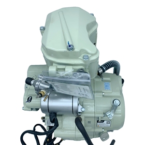 เครื่องยนต์ ZS200CC สตาร์ทไฟฟ้า คล้ายกับ Daytona Anima <span class=keywords><strong>200</strong></span> พร้อมชุดเครื่องยนต์ครบชุด พร้อมจัดส่ง Zongshen 200CC - Product Image 2