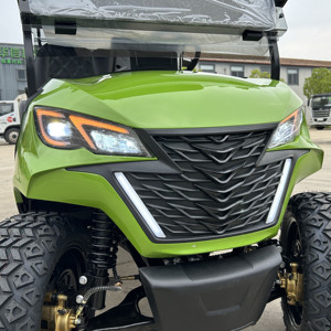 Huaxin 골프 카트 48V 72V 리튬 골프 카트 새로운 전기 버기 페인트 사용자 정의 허용 - Product Image 4
