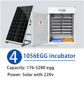 Gran oferta 1056 incubadora de <span class=keywords><strong>huevos</strong></span> máquina de incubación híbrida 220V/12V automática de doble potencia alta tasa de eclosión uso doméstico avestruz <span class=keywords><strong>Emu</strong></span> - Product Image 3
