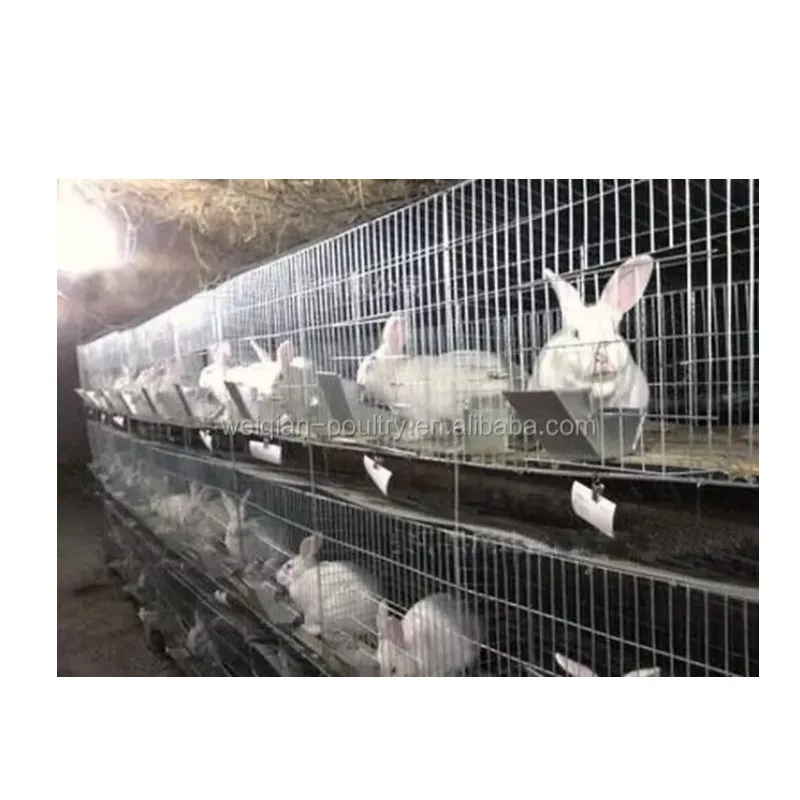 Rifornimento della fabbrica di alta qualità rete metallica gabbia per coniglio/conigli saldati gabbia di rete metallica/filo coniglio gabbie di vendita