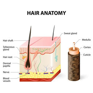 Colagenos alisado permanente mejores tratamientos alisadores para el cabello - Product Image 5