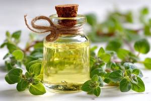 Aceite Esencial de Orégano para el Crecimiento del Cabello, Cuidado de la Piel y Masajes Corporales para Terapia de Spa, Relajación, Fortalecimiento del Cabello y Cuidado Diario - Product Image 3