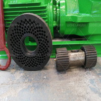 Machine à granulés de sciure de bois 2024 Offre Spéciale pour litière pour chat/machines à granulés de bois