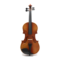 High Quality Wholesale 4/4 Full Size Student Violin Cheap Plywood Violin with Accessories