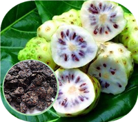 Tranches de Noni séchées, purement naturelles, spécialité locale de Hainan |   Collation de superfruits tropicaux séchés au soleil de qualité supérieure