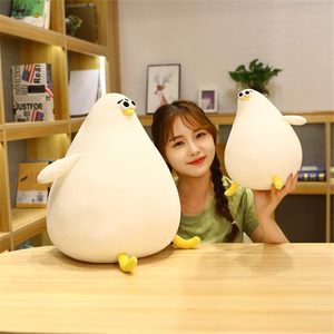 Poupée de poule simulée de 26/40cm, oreiller de poulet de dessin animé mignon, jouets en peluche de poulet gras et drôle, cadeau créatif, oreillers en peluche - Product Image 5