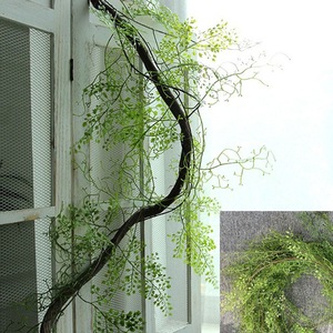 Plante artificielle en vigne florale royale Donghui du quartier de Tianhe, 200 cm, en plastique noir, pour décoration de mariage et de maison - Product Image 5