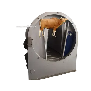 New Design Muslim Sheep Slaughterhouse Line Goat Halal Killing Box For Lamb Slaughter Processing Plant Abattoir Equipment