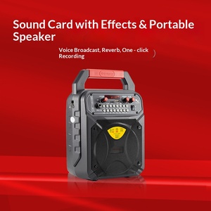 Altavoz Portátil de Mano, Altavoz para Exteriores con Bajos Potentes, Mini Karaoke, Compatible con USB, Tarjeta TF, Radio FM, Portátil, para Baile - Product Image 2