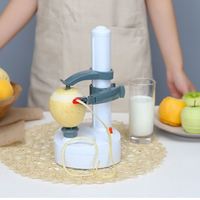 Goedkope prijs kleine plastic PE milieuvriendelijke roestvrijstalen fruit schiller voor keuken en huis