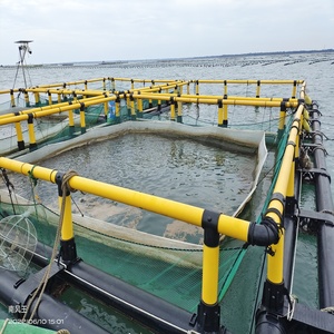 Cage à poissons carrée en HDPE avec plateforme de travail pour l'aquaculture intérieure - Product Image 2